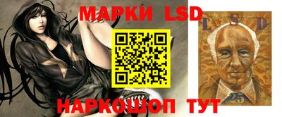 гидропоника Можайск