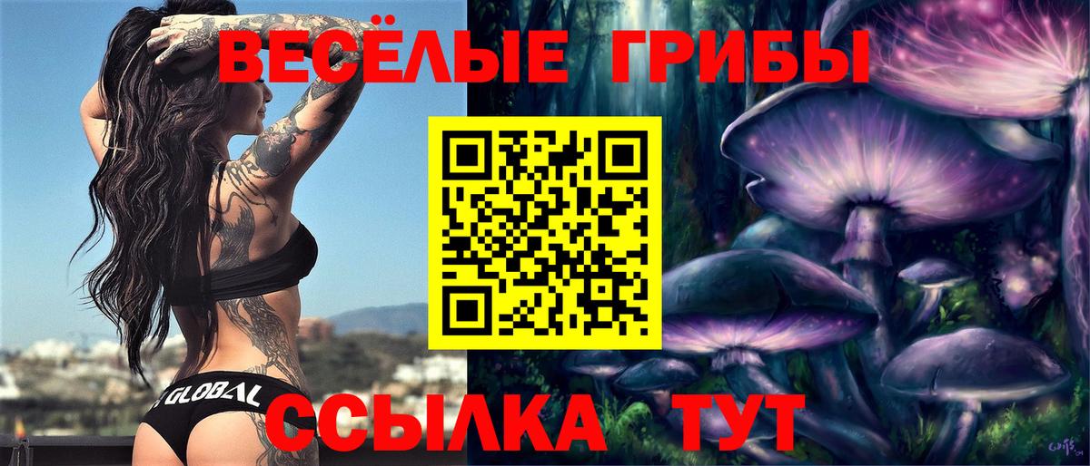 Псилоцибиновые грибы Psilocybine cubensis  Вход с VPN  Псилоцибиновые грибы Magic Shrooms  Тула 