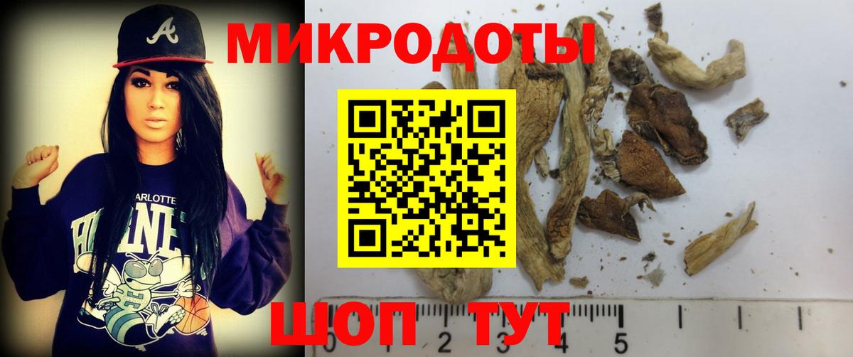 Галлюциногенные грибы мицелий Тула